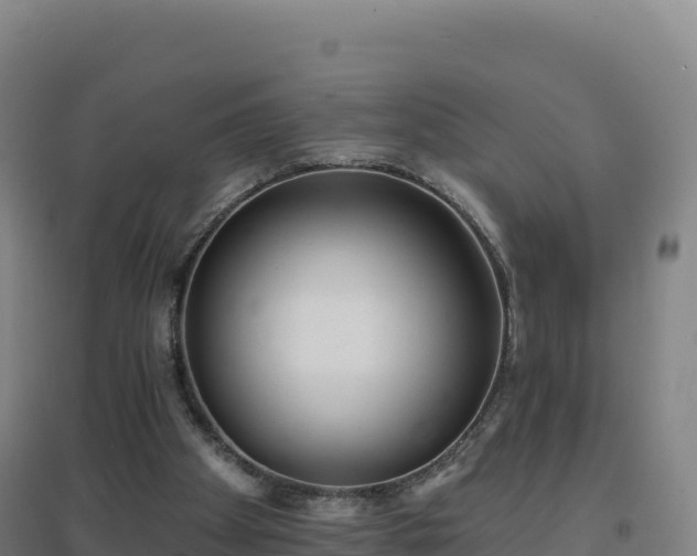 X0000096720105200802121257