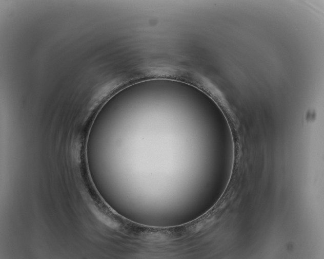 X0000096720106200802121257