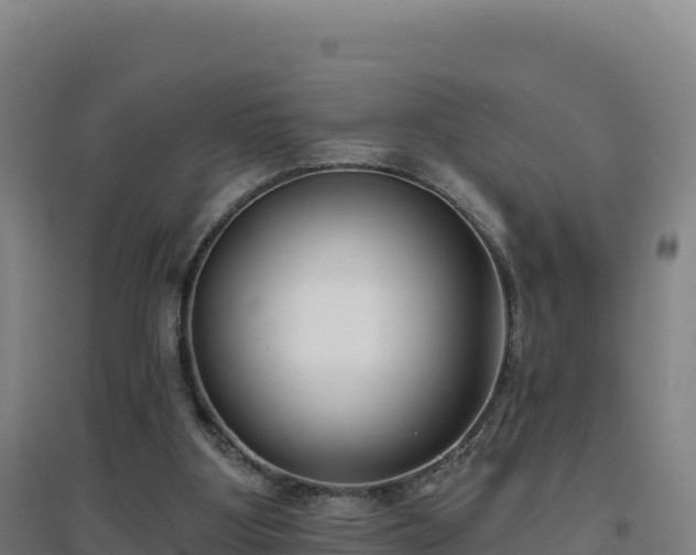 X0000096720107200802121257