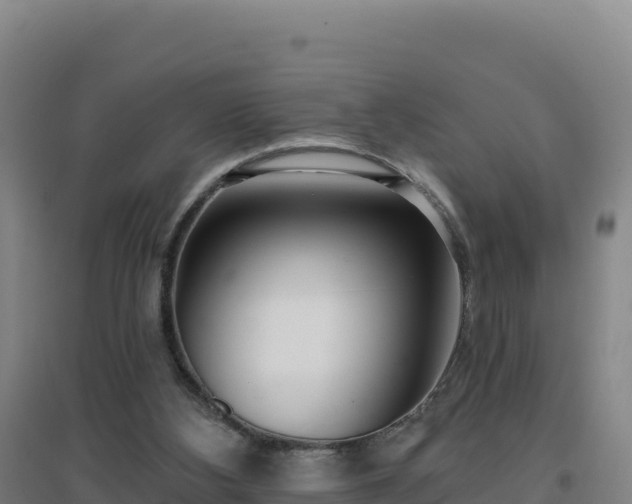 X0000096720108200802121257