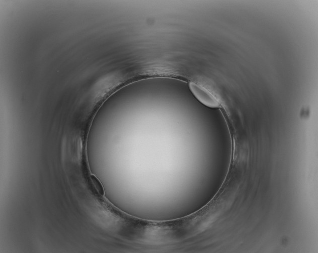 X0000096720109200802121257