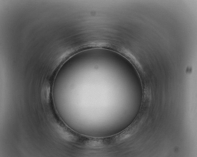 X0000096720110200802121257