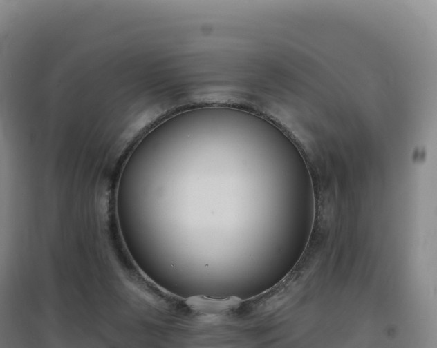 X0000096720111200802121257