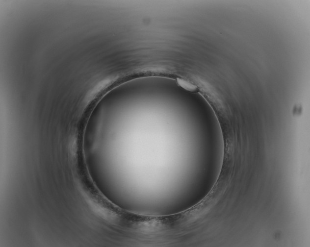 X0000096720112200802121257