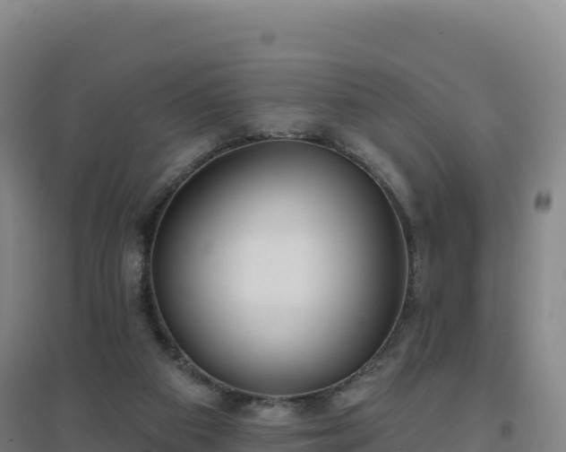 X0000096720113200802121257