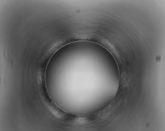 X0000096720114200802121257