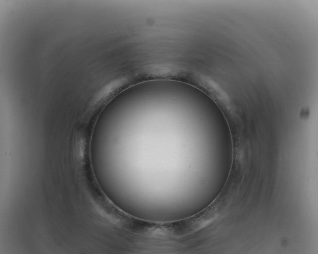 X0000096720115200802121257