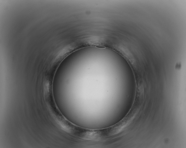 X0000096720117200802121257