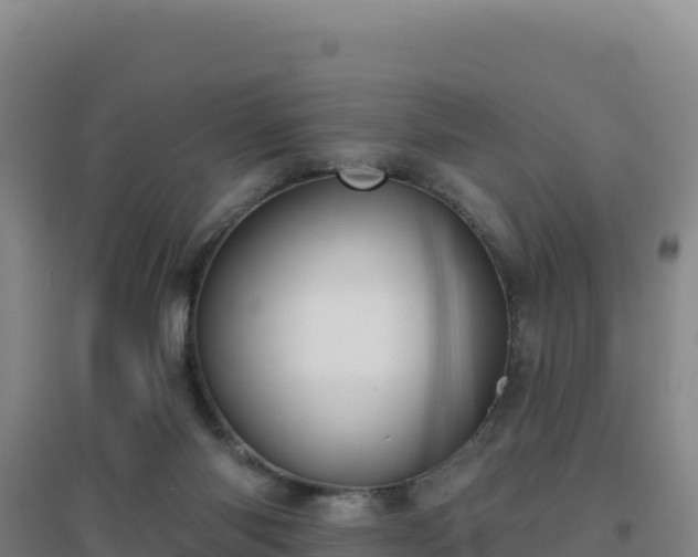 X0000096720118200802121257