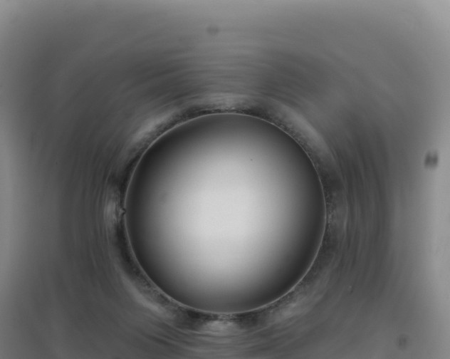 X0000096720119200802121257