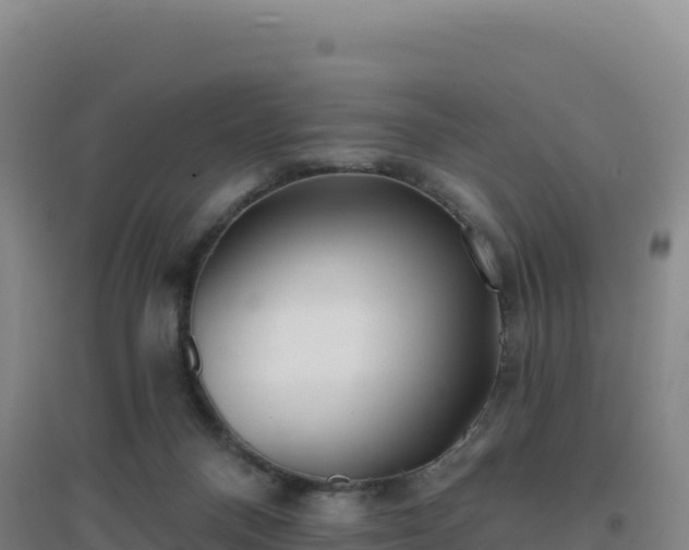 X0000096720120200802121257