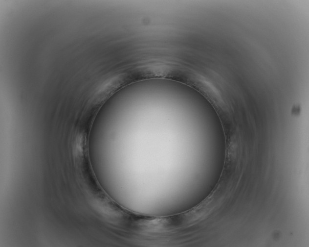 X0000096720122200802121257