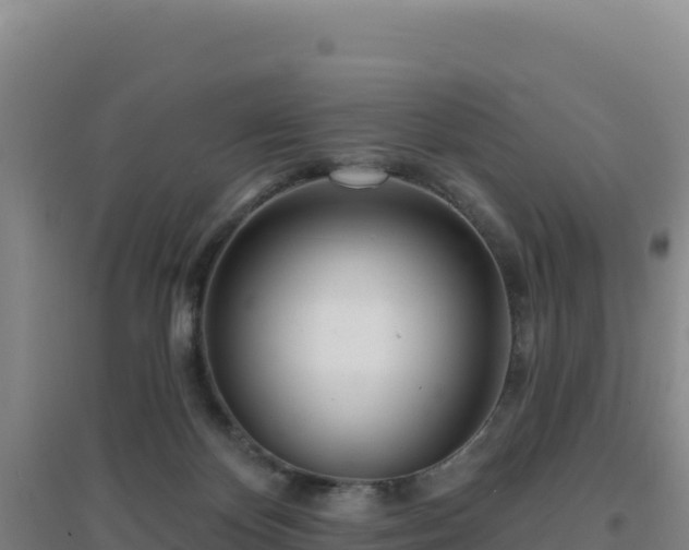 X0000096720124200802121257