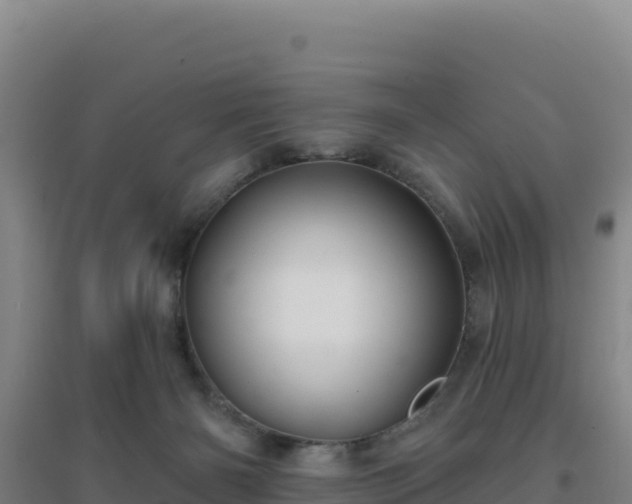 X0000096720126200802121257