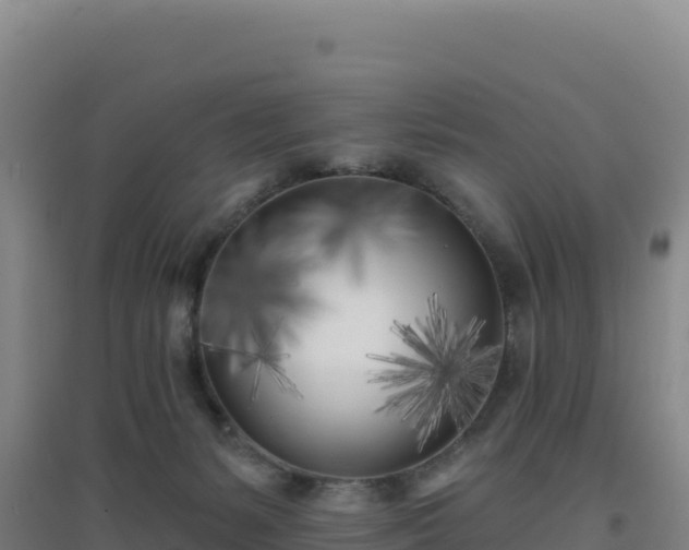 X0000096720127200802121257