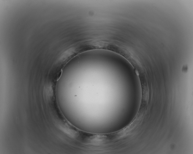 X0000096720128200802121257