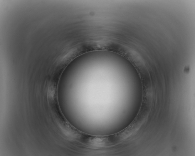 X0000096720129200802121257