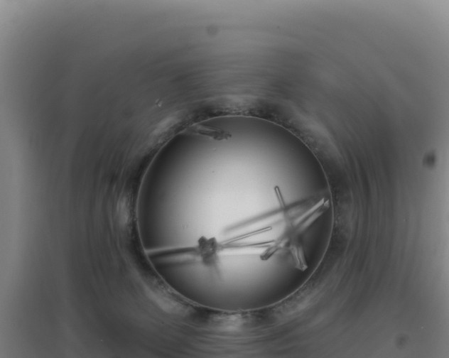 X0000096720131200802121257
