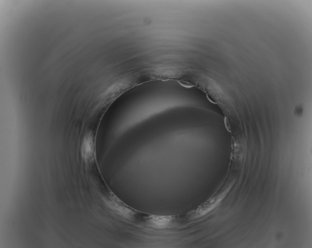 X0000096720143200802121257