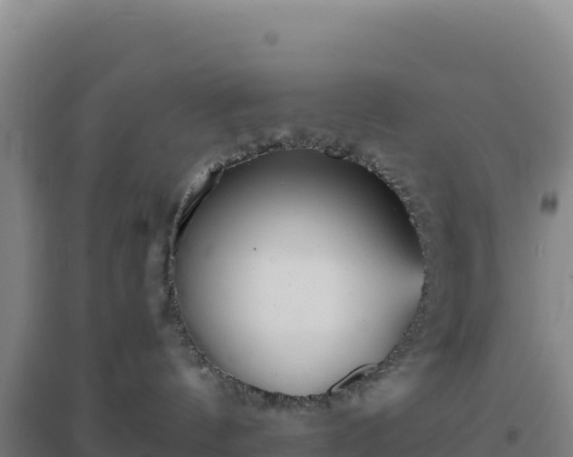 X0000096720144200802121256