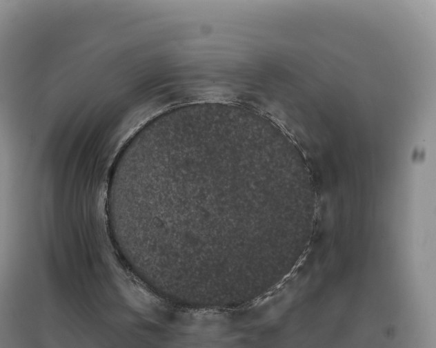 X0000096720146200802121256