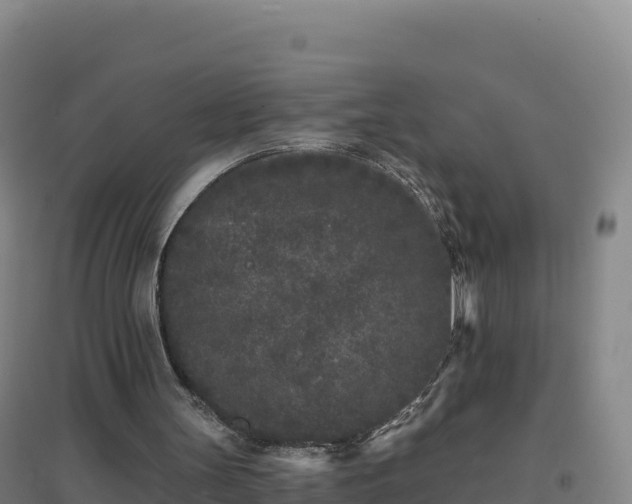 X0000096720147200802121256