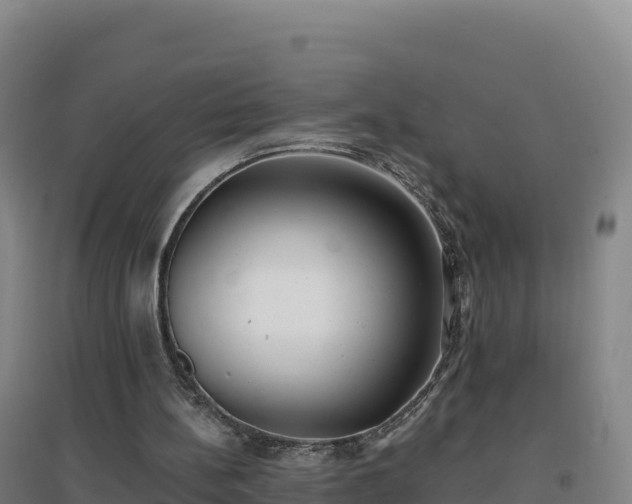 X0000096720148200802121256