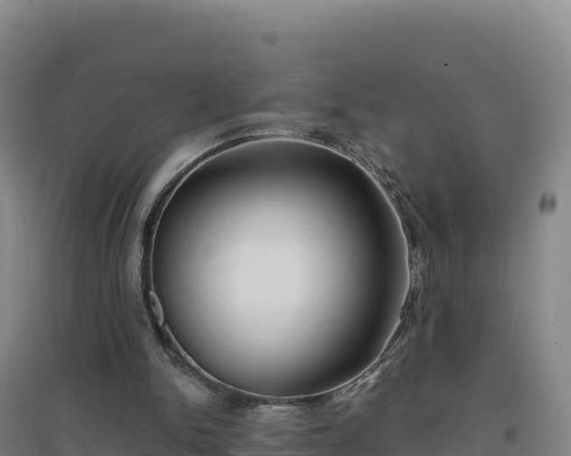 X0000096720150200802121256