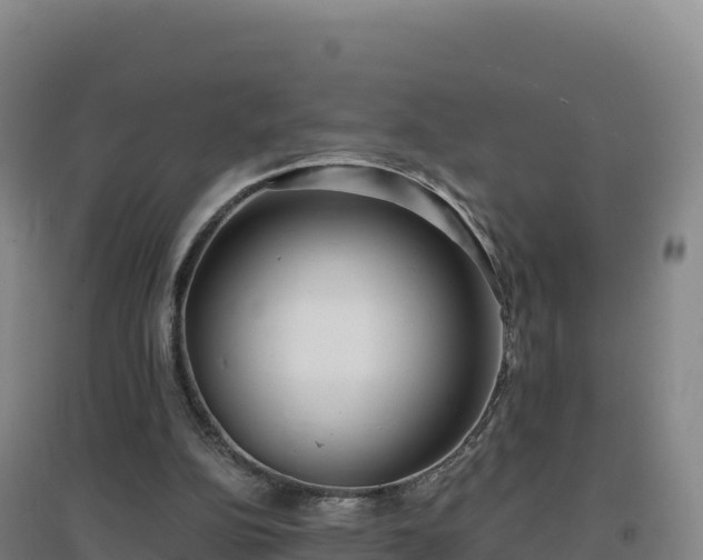 X0000096720152200802121256