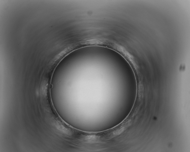 X0000096720153200802121256