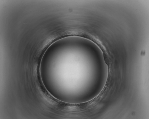 X0000096720154200802121256