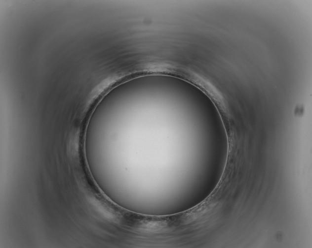 X0000096720155200802121256