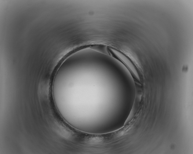 X0000096720156200802121256