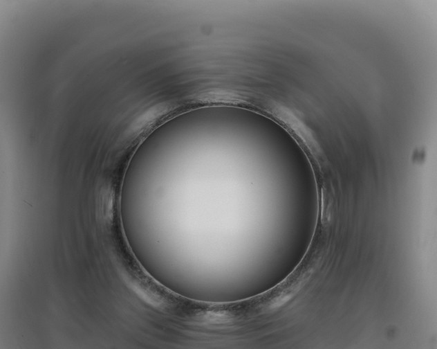 X0000096720157200802121256