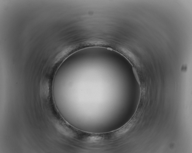 X0000096720158200802121256