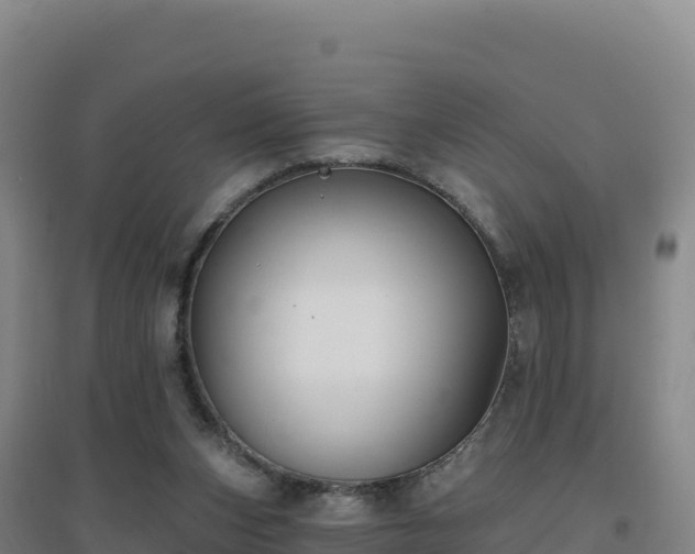 X0000096720159200802121256