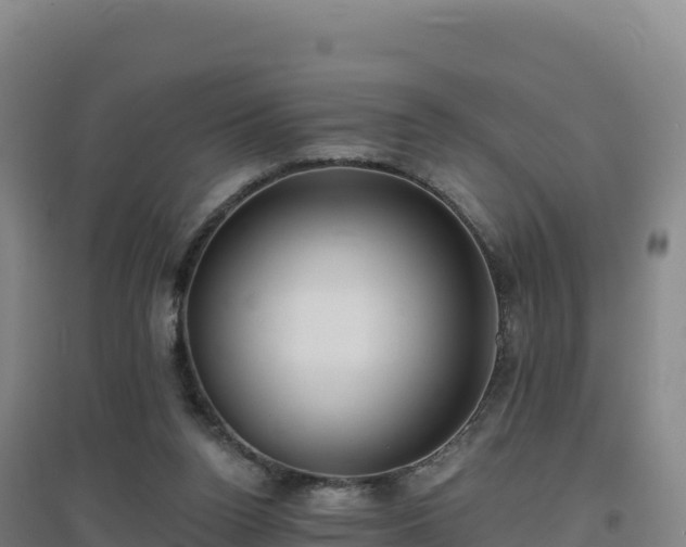 X0000096720160200802121256