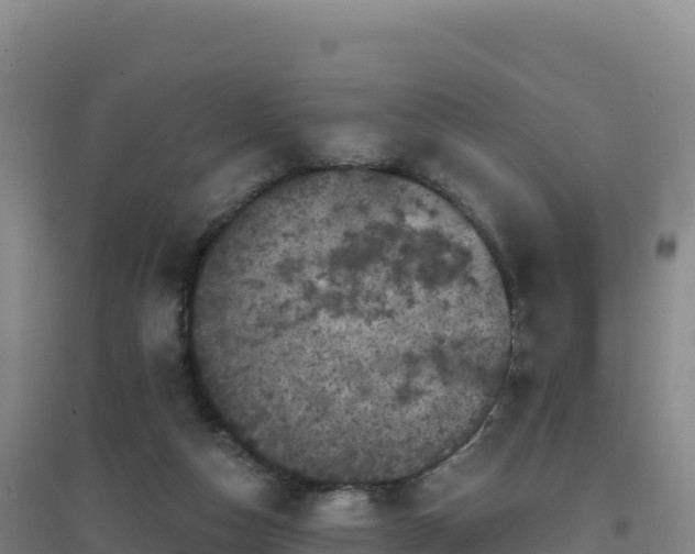 X0000096720162200802121256