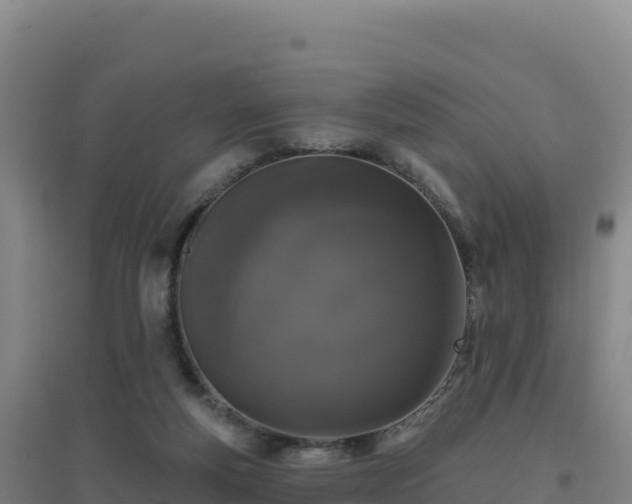 X0000096720163200802121256