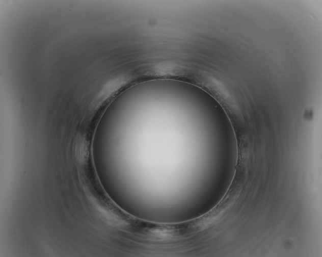 X0000096720164200802121256