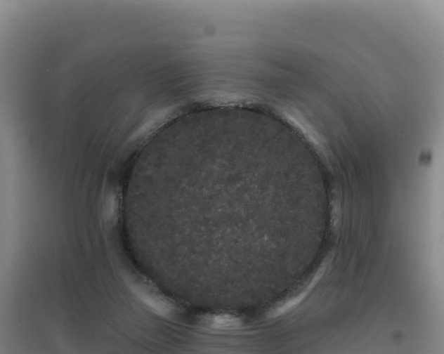 X0000096720165200802121256