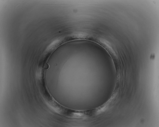 X0000096720167200802121256