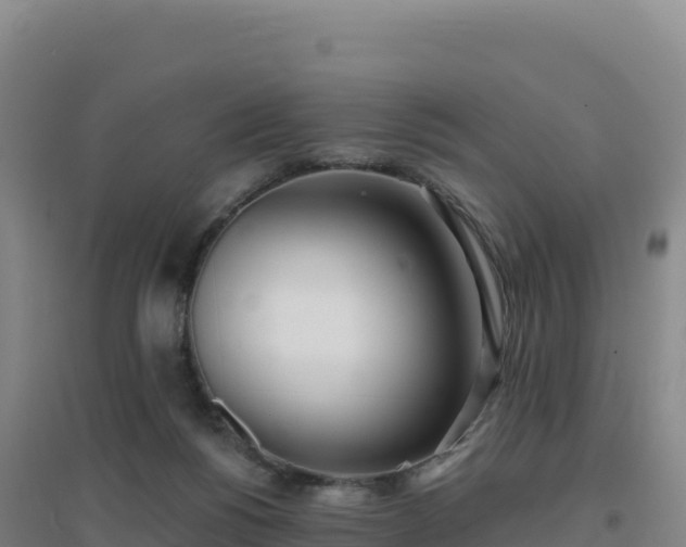 X0000096720168200802121256