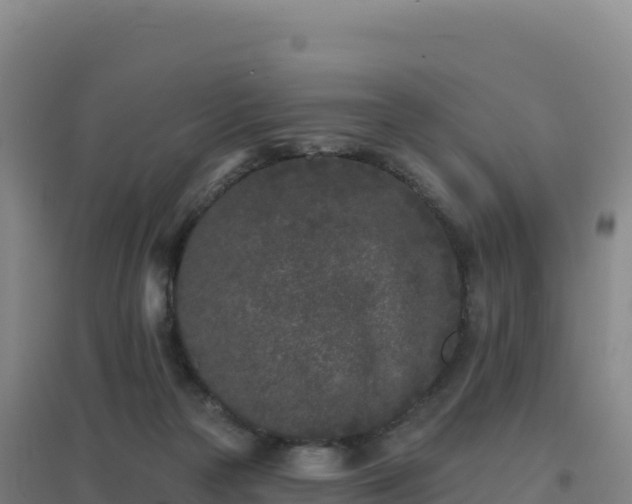 X0000096720169200802121256