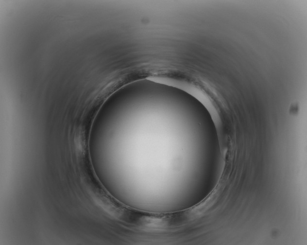 X0000096720170200802121256