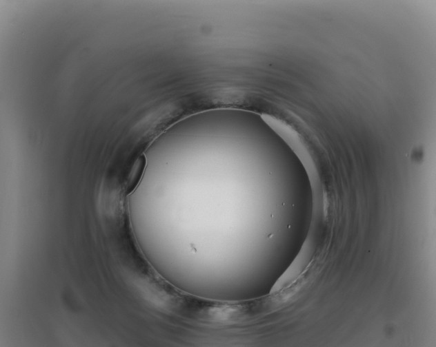 X0000096720172200802121256