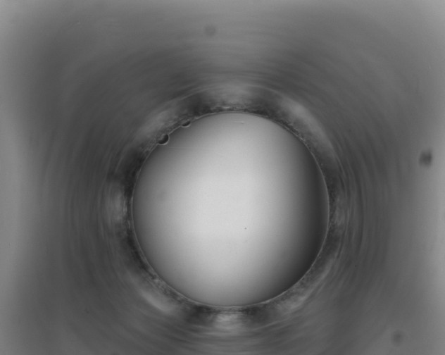 X0000096720173200802121256