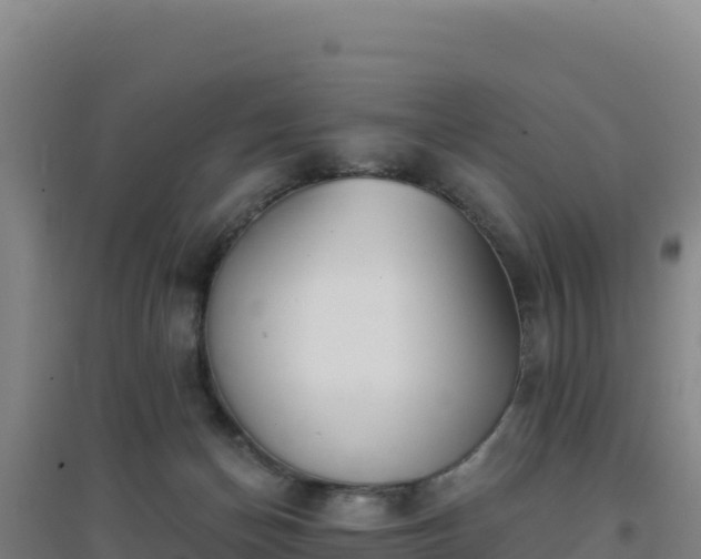 X0000096720174200802121256