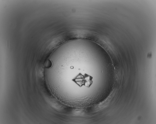 X0000096720175200802121256