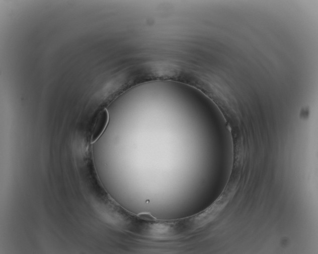 X0000096720176200802121256